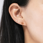 Orecchini stella marina